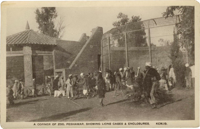peshawar zoo in 20th century