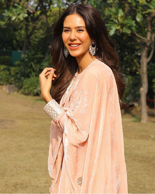 sonam bajwa wallpaper