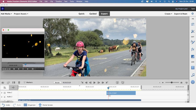 Free Download Adobe Premiere Elements 2022 for Windows