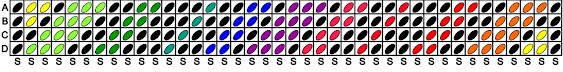 A threading diagram for tablet weaving formed from a table with 4 rows and 40 columns, with each square filled with a coloured oval to represent threads