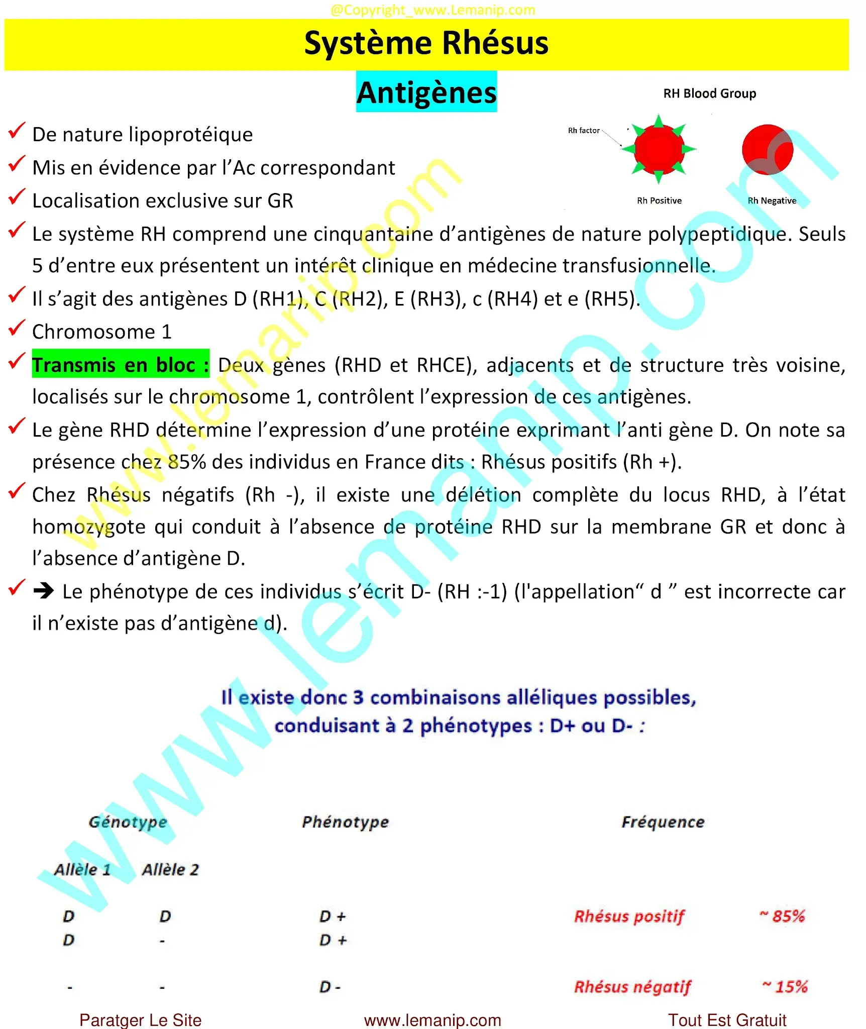 Système Rhésus