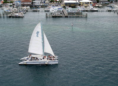 Catamaran sailing through harbour.