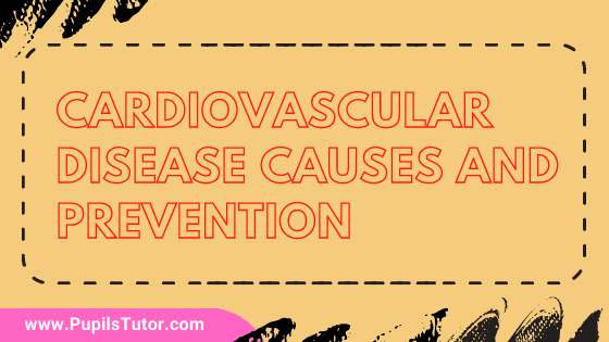 What Are Cardiovascular Disease (Heart Disease) And How To Prevent It | What Are Causes Of Cardiovascular Disease? | Cardiovascular Main Risk Factors - www.pupilstutor.com