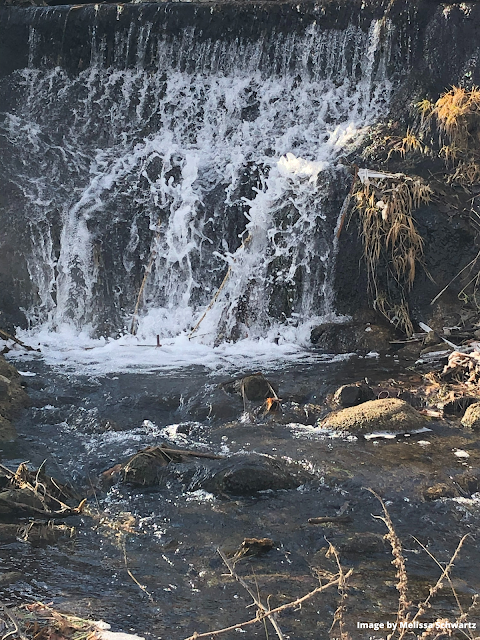 Delightful waterfall and gentle rapids at Fel-Pro RRR Conservation Area in Cary, IL