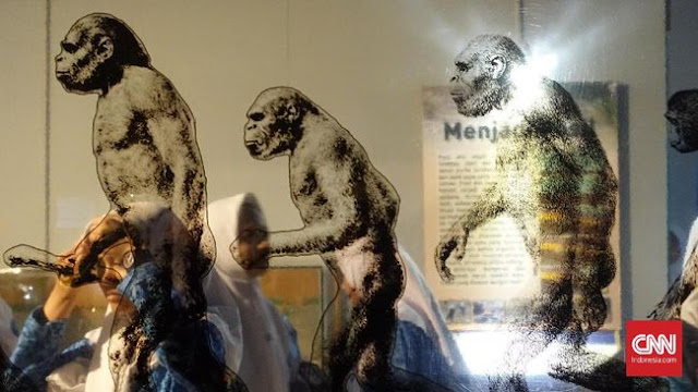 Ilmuwan Ungkap Nama Manusia Sebelum Homo Sapiens