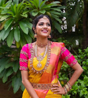 Vaishali Thaniga (Actress) Biography, Wiki, Age, Height, Career, Family, Awards and Many More