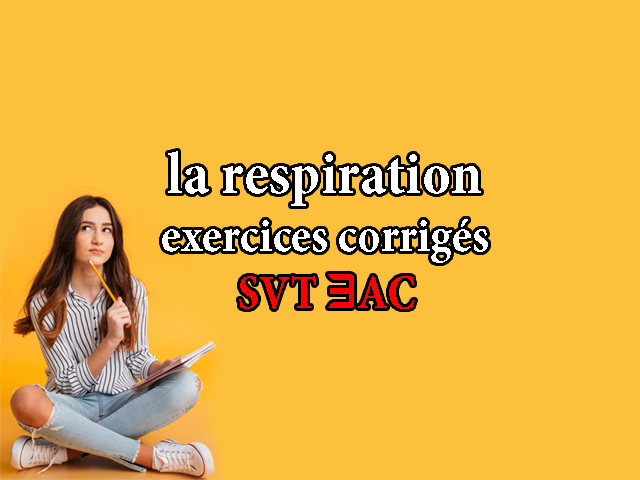 la respiration chez l'homme 3eme annee college exercices corrigés