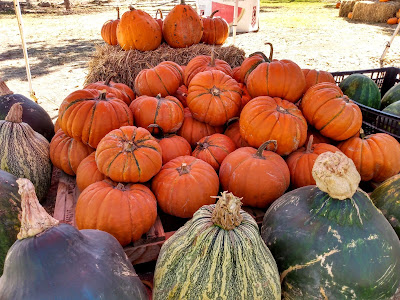 farmstand with pumpkins gourds