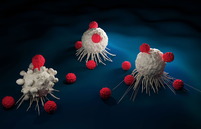 CAR- T Cell Therapy Market