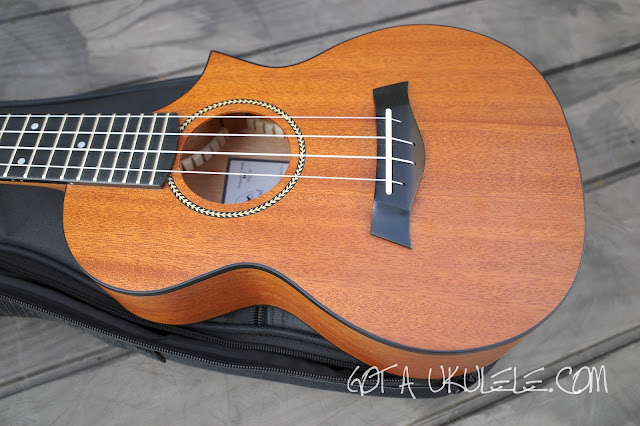 Twisted Wood Ember Concert Ukulele body