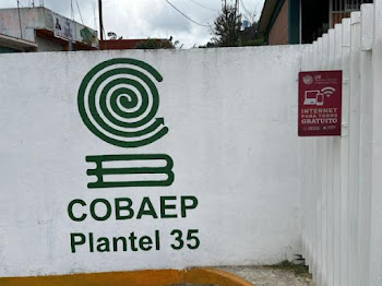 COBAEP de Chilchotla, beneficiado con internet satelital de CFE