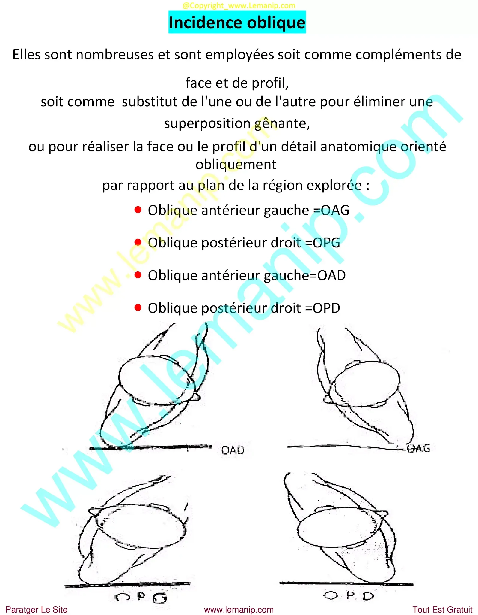 knee mri anatomy radiology,anatomy of ct scan,mri cross sectional anatomy,wrist mri anatomy radiology,mri spine anatomy radiology,ct scan anatomy,brain anatomy radiology ct,radiology cafe anatomy,ct brain anatomy radiology,radiographic anatomy