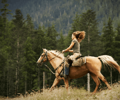 What does it mean to ride a horse