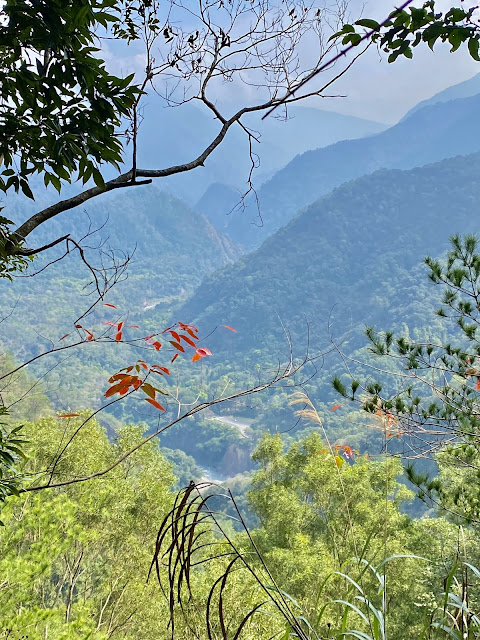 我音山下山途中--俯瞰惠蓀林場