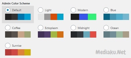 Mengubah Warna Halaman Admin Di WordPress Menjadi Menarik