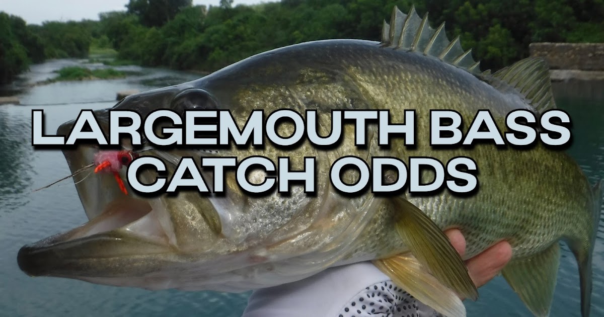 Largemouth Bass Catch Odds