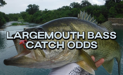 largemouth Bass, Largemouth Bass on the Fly, Bass on the fly, Texas Fly Fishing, Fly Fishing Texas