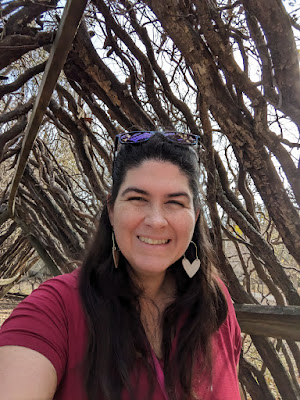 All smiles in a wooden triangular structure at the Arbor Day Farm Tree Adventure