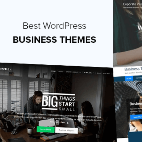 Divi WordPress Theme