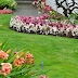 Garden Netting - 15 Ways to Protect Your Garden From Animals And Insects