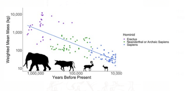 Early humans hunted the largest available animals to extinction for 1.5 million years