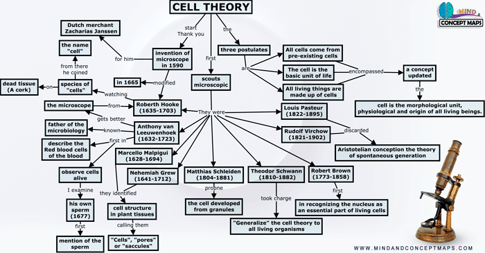 Conceptual map of cell theory
