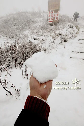 南投合歡山雪景