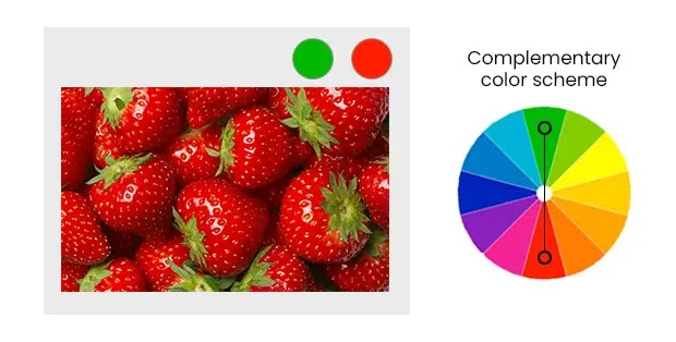 complementary color scheme example from nature