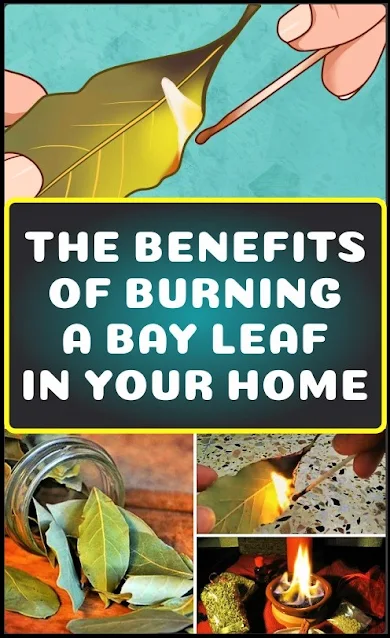 This Is Why You Should Burn A Bay Leaf In Your Home