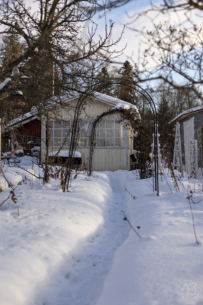 siirtolapuutarhamökki Oravankesäpesä siirtolapuutarha