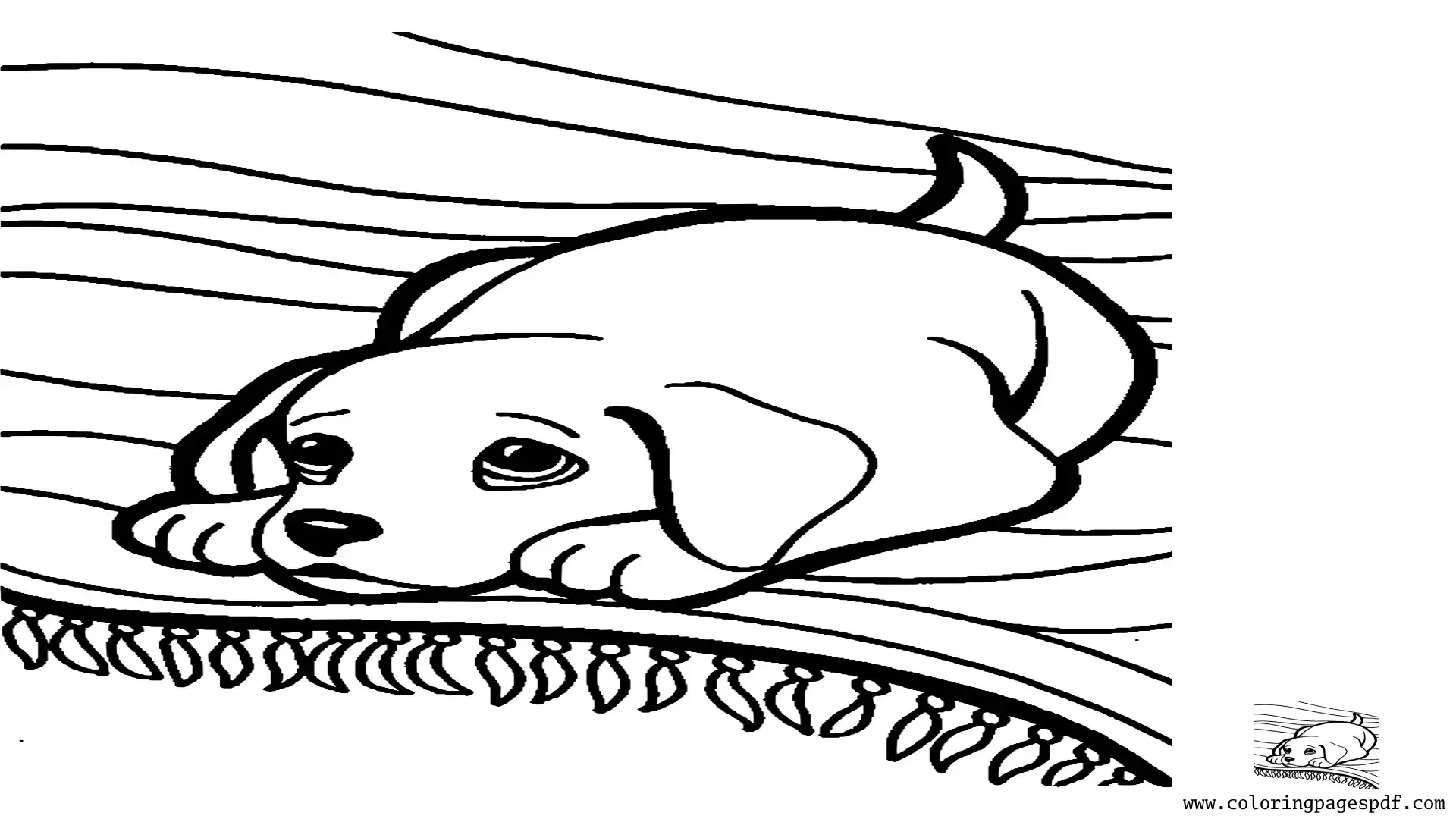 Coloring Page Of A Guilty Puppy