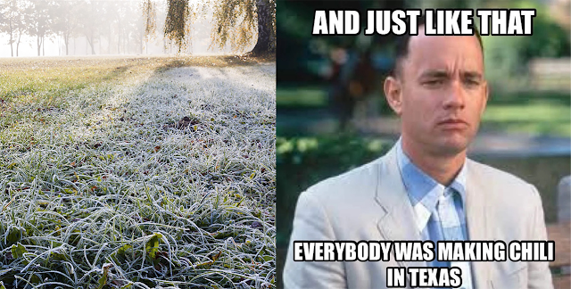 Frost on the grass in Dallas, with “Forrest Gump” meme: “And just like that everybody was making chili in Texas.