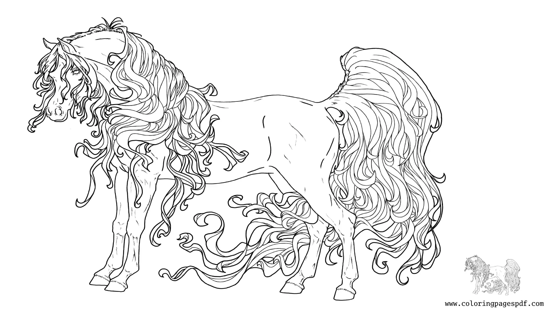 Coloring Page Of A Horse With Really Long Hair
