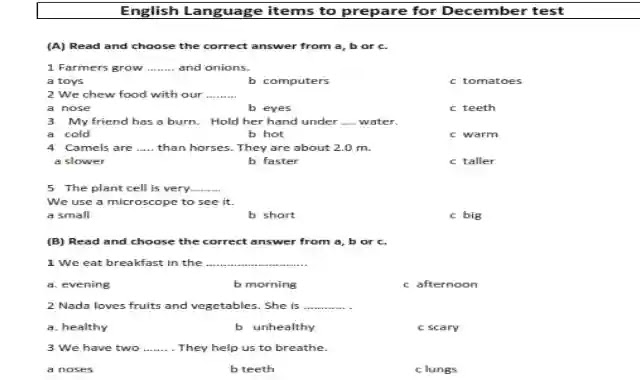 امتحانات الوزارة الرسمية لغة انجليزية بالاجابات لامتحان ديسمبر للصف الرابع الابتدائى 2021 / 2022