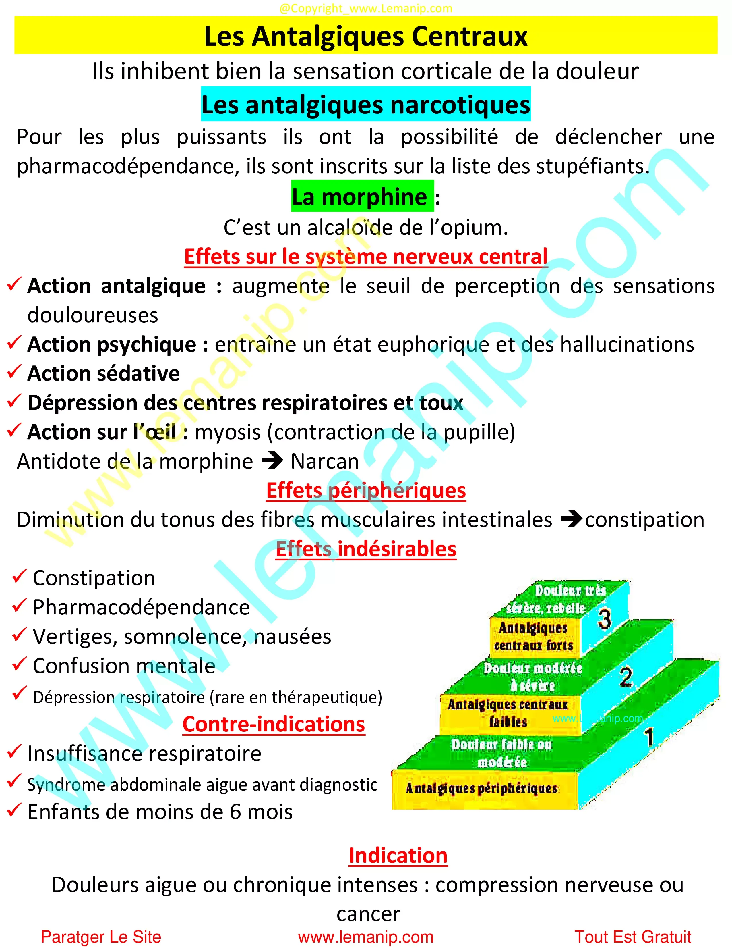 Les Antalgiques Centraux