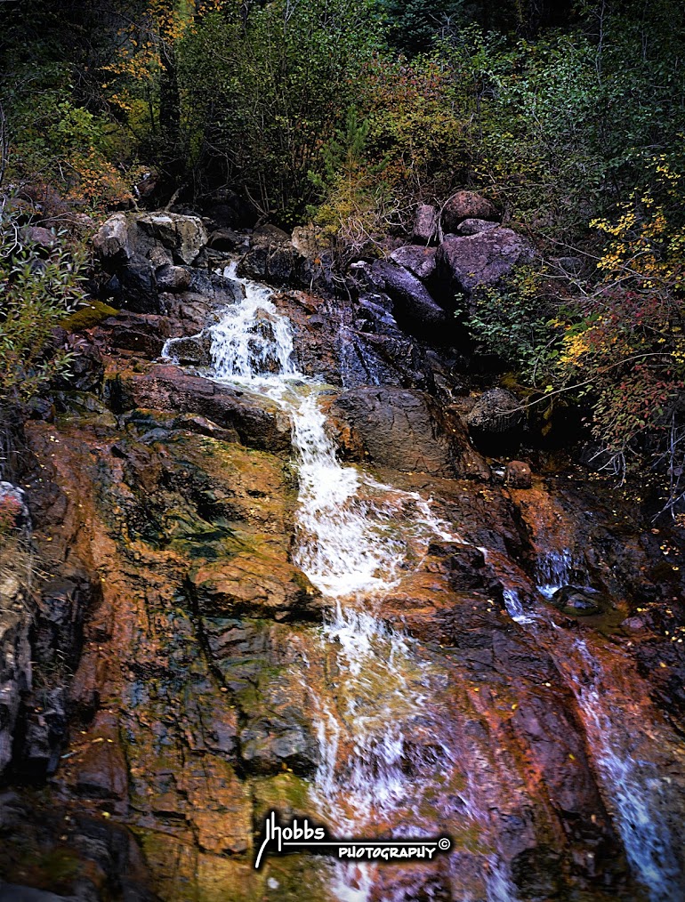 Mountain Spring - Colorado