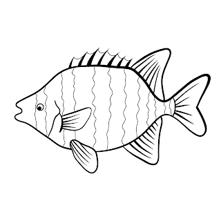 Fish Outline drawing free download