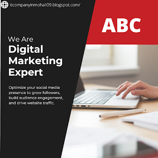 digital marketing company in Mohali