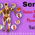  Human Anatomy and Physiology II B pharmacy Semester 2 free notes