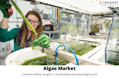 Algae Market High Players  With Rate Of Growth & Forecast To 2027