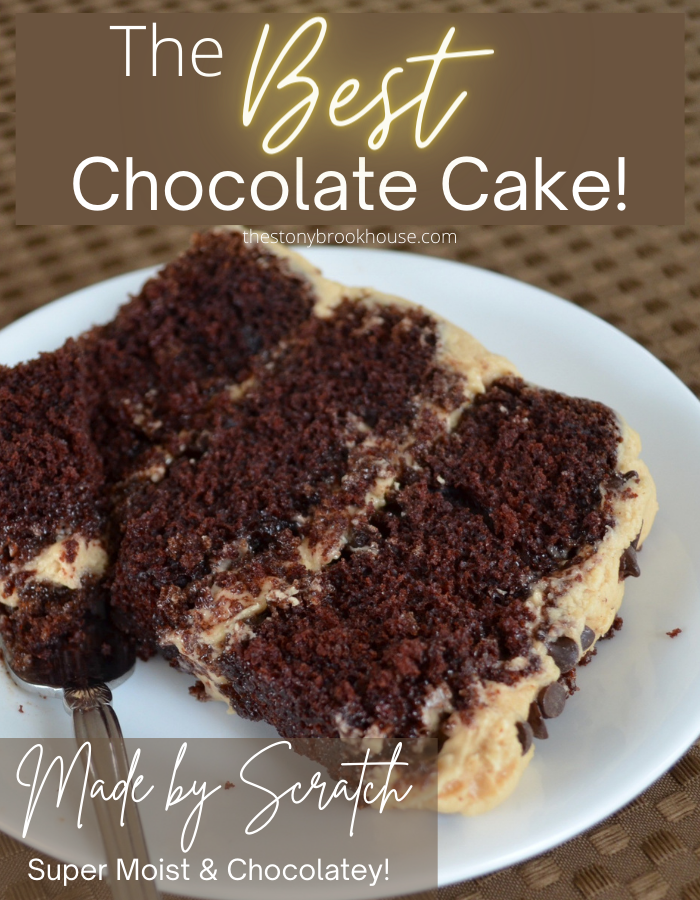 The Best Chocolate Cake By Scratch