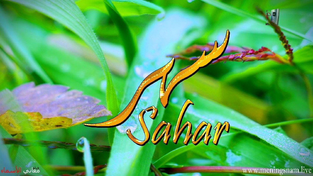 معنى اسم, سهر, وصفات, حاملة, هذا الاسم, Sahar,