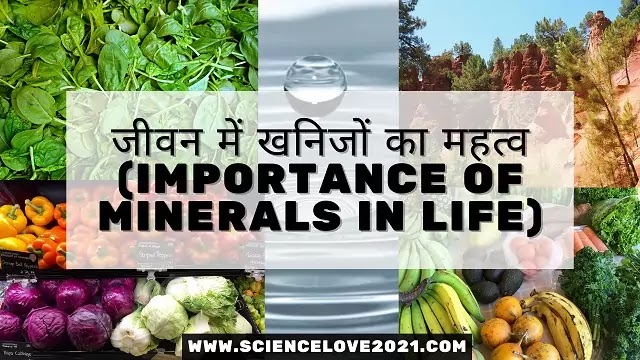 जीवन में खनिजों का महत्व (Importance Of Minerals in Life)|hindi