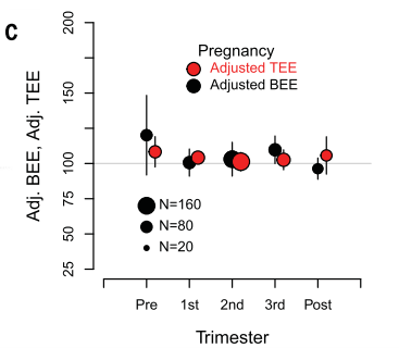 懷孕前、懷孕中和懷孕後人體總能量消耗(TEE)和基礎代謝能量消耗(BEE)都跟未懷孕成年人類似