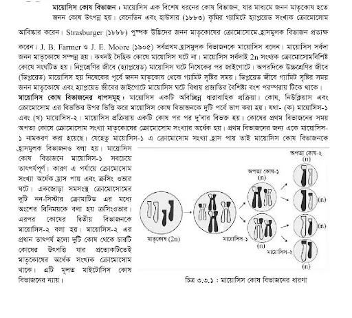 কোষ বিভাজনকালে ক্রোমজোমে নানারকম পরিবর্তন দেখা যায়। চিহ্নিত চিত্রের সাহায্যে এই পরিবর্তনের সবগুলো ধাপ ধারাবাহিকভাবে উপস্থাপন কর।