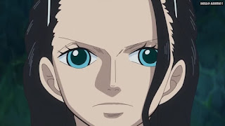 ワンピースアニメ ゾウ編 769話 ロビン ポーネグリフ Poneglyph | ONE PIECE Episode 769