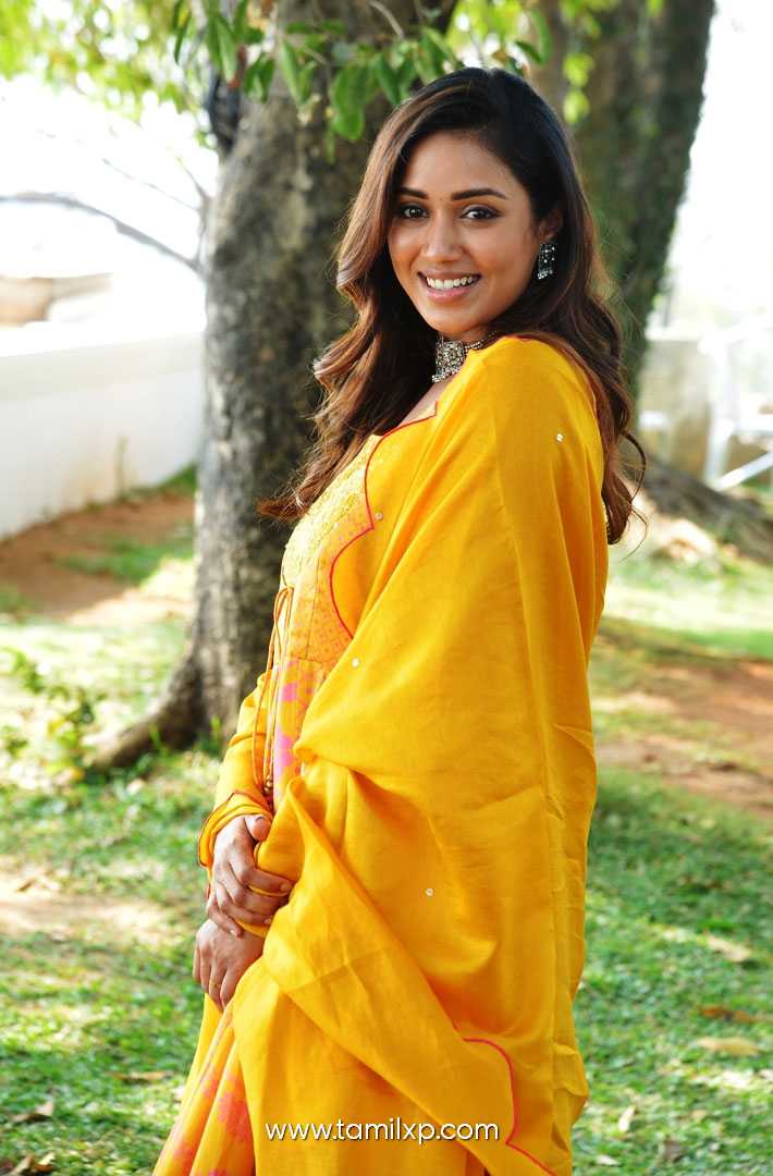 Telugu Actress Nivetha Pethuraj
