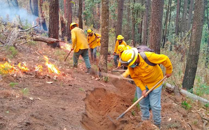 Edomex, Morelos y Michoacán firman convenio contra incendios