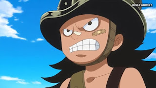 ワンピースアニメ WCI編 836話 ハイルディン 幼少期 Hajrudin | ONE PIECE ビッグ・マム 幼少期 羊の家 Linlin childhood