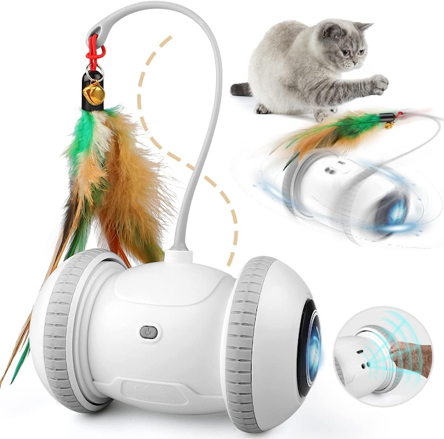 PETNEY Interactive Cat Toy